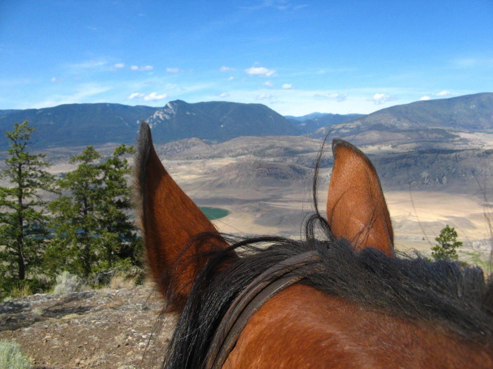 Vila Sundance Guest Ranch Ashcroft Exteriér fotografie