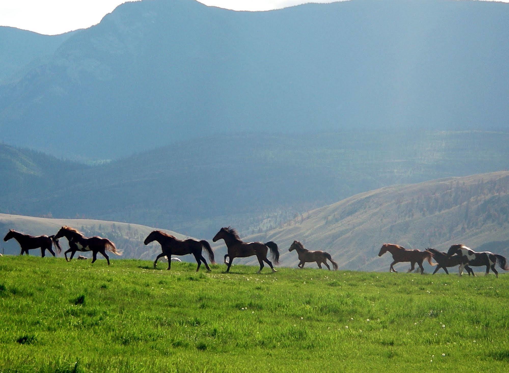 Vila Sundance Guest Ranch Ashcroft Exteriér fotografie